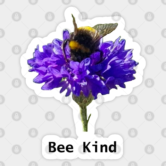 Honey Bee says Bee Kind for Positivity Sticker by ellenhenryart